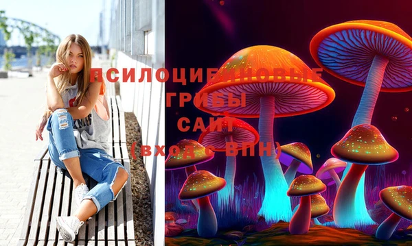 спиды Абаза