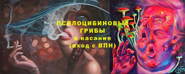 ECSTASY Абинск