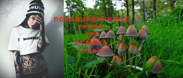 спиды Абаза