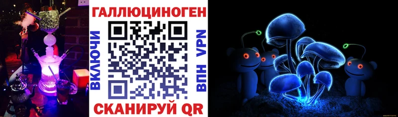 Галлюциногенные грибы GOLDEN TEACHER  купить закладку  Кирсанов 