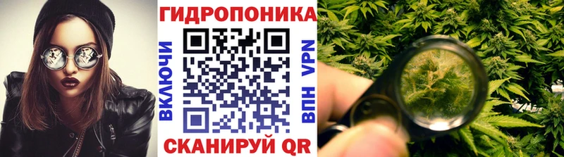 где можно купить наркотик  Кирсанов  ссылка на мегу ONION  Бошки Шишки White Widow 